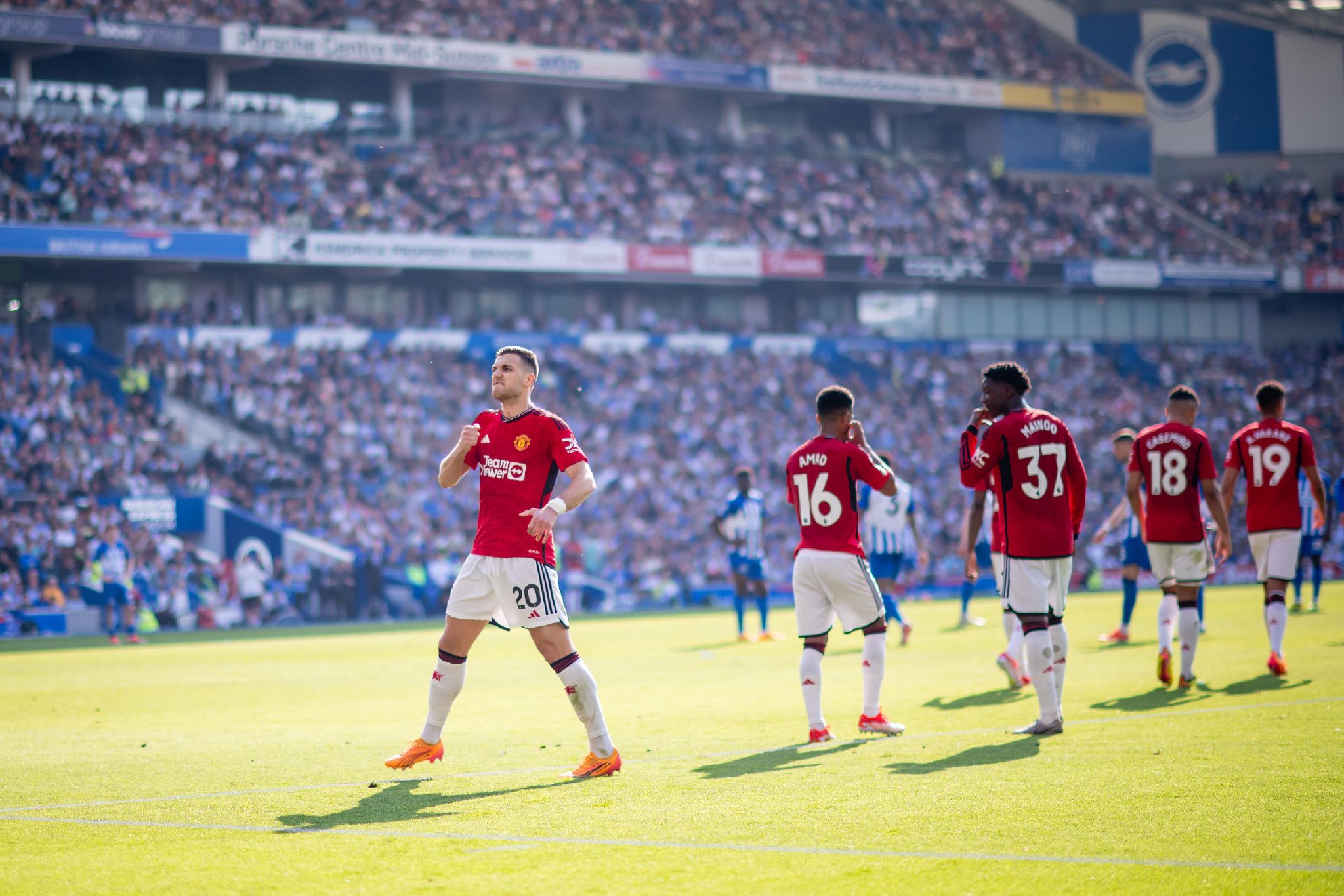 象征了忠诚 象征了忠诚